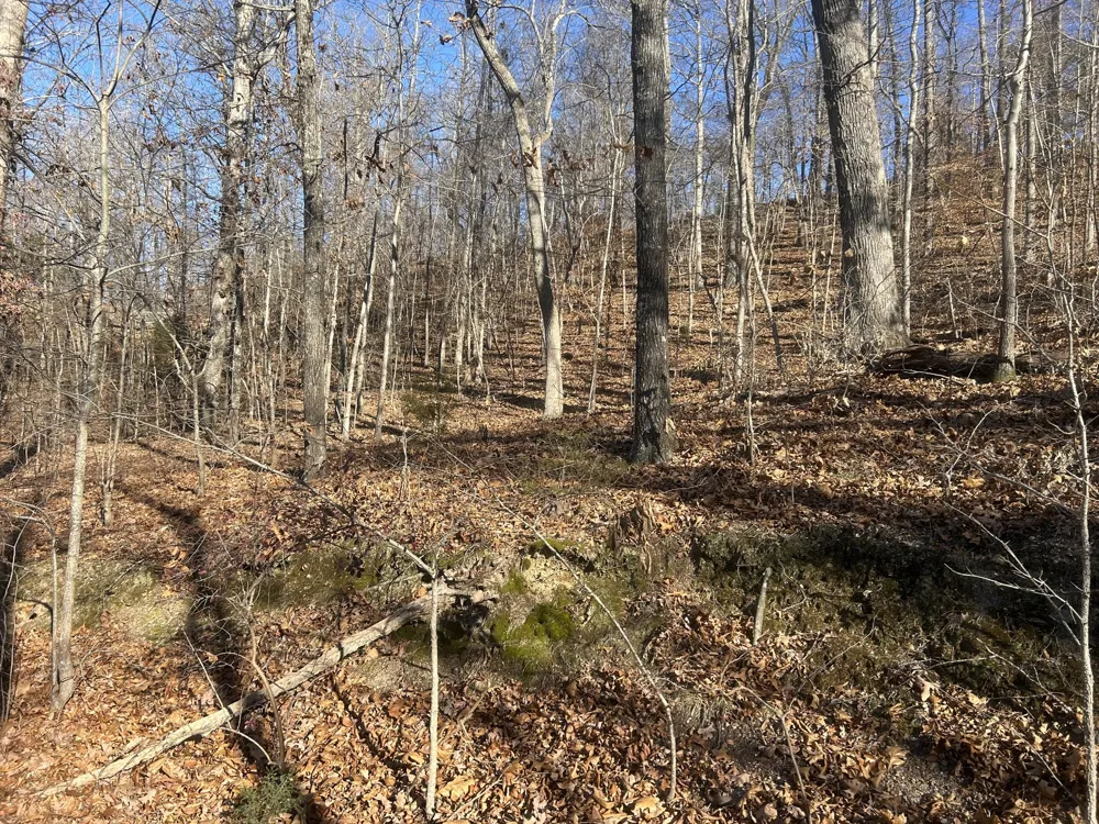 0 Davis N Lake Access Rd Camden, TN 38320