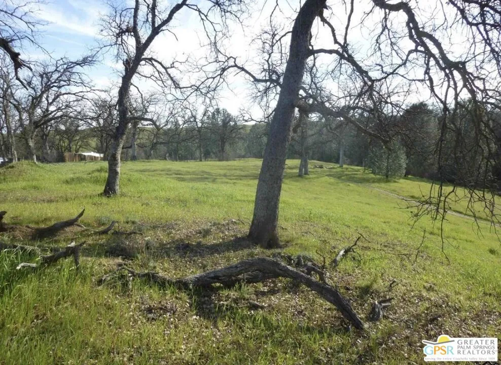 17333 Wagon Wheel Drive Corning, CA 96021