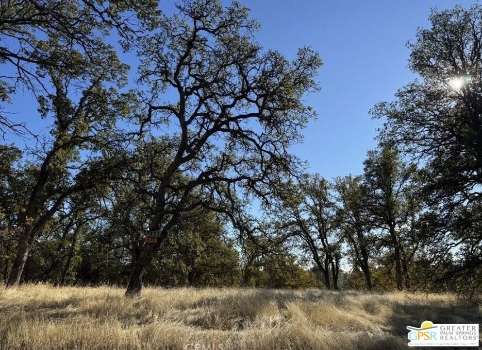 17333 Wagon Wheel Drive Corning, CA 96021