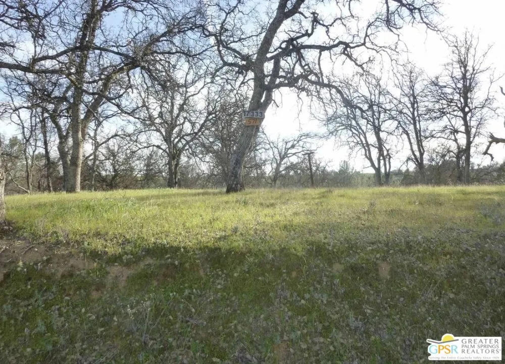 17333 Wagon Wheel Drive Corning, CA 96021