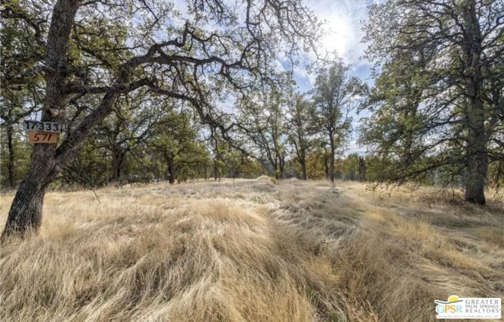 17333 Wagon Wheel Drive Corning, CA 96021