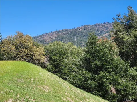 327 Davos Drive