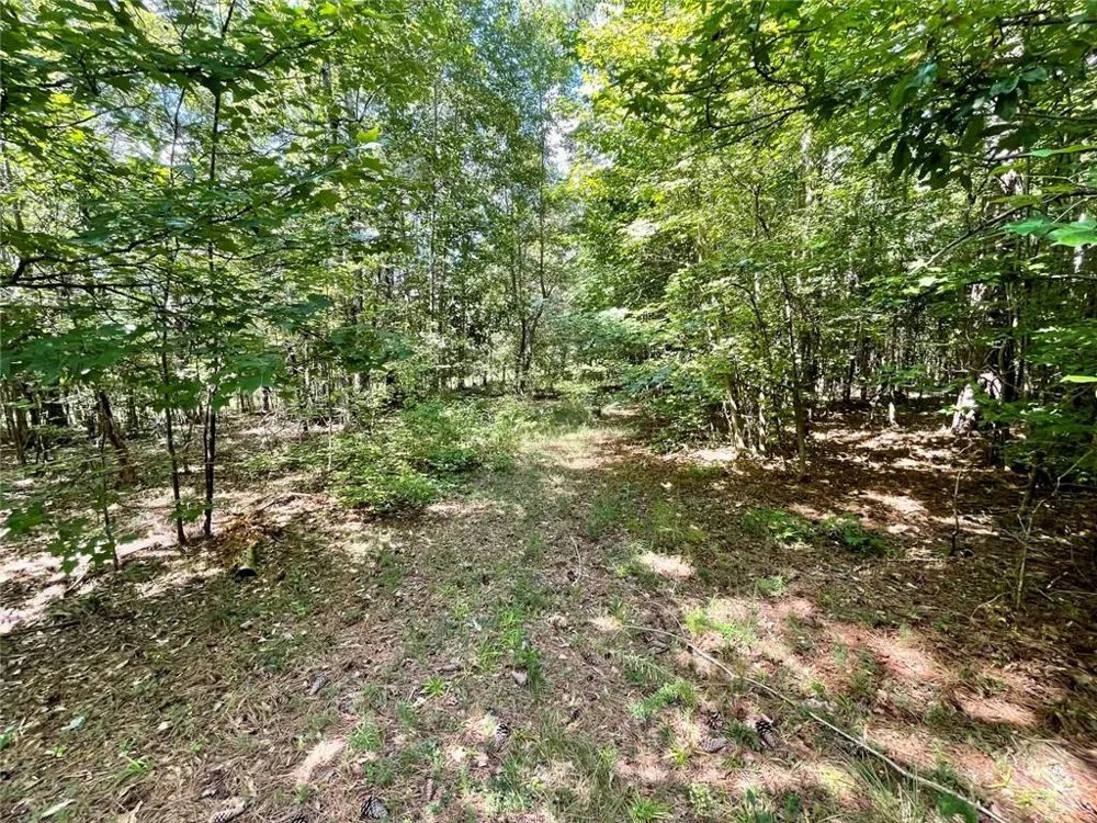 393 Harmony Gates Drive Commerce, GA 30530