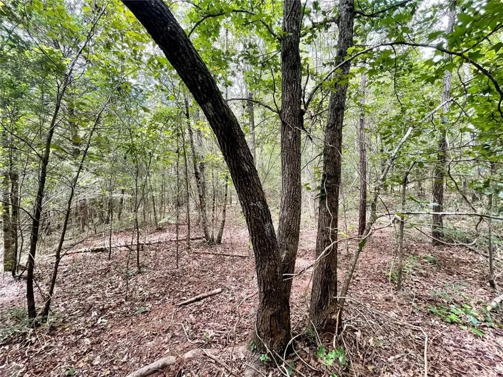 393 Harmony Gates Drive Commerce, GA 30530