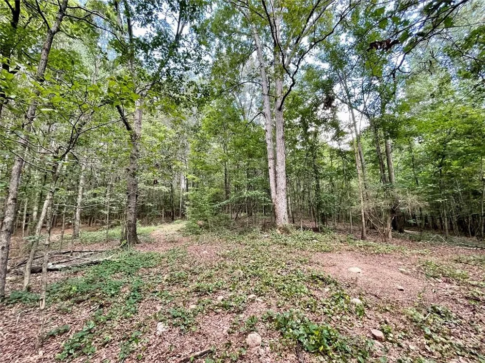 393 Harmony Gates Drive Commerce, GA 30530
