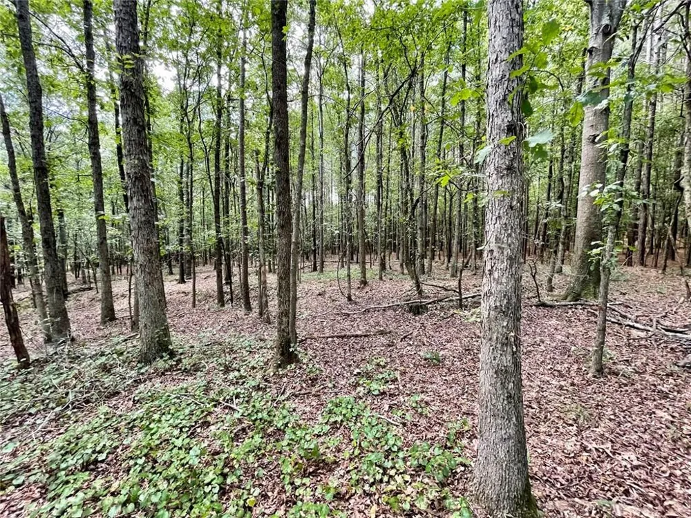 393 Harmony Gates Drive Commerce, GA 30530