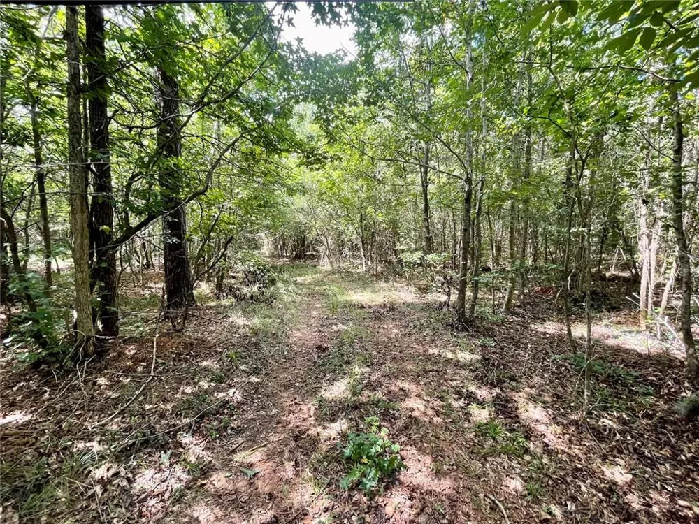 393 Harmony Gates Drive Commerce, GA 30530