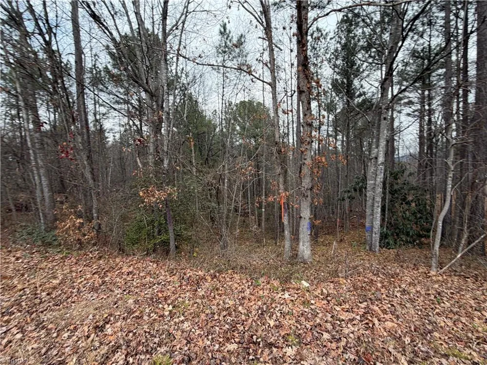 TBD Shumate Mountain Road Hays, NC 28635