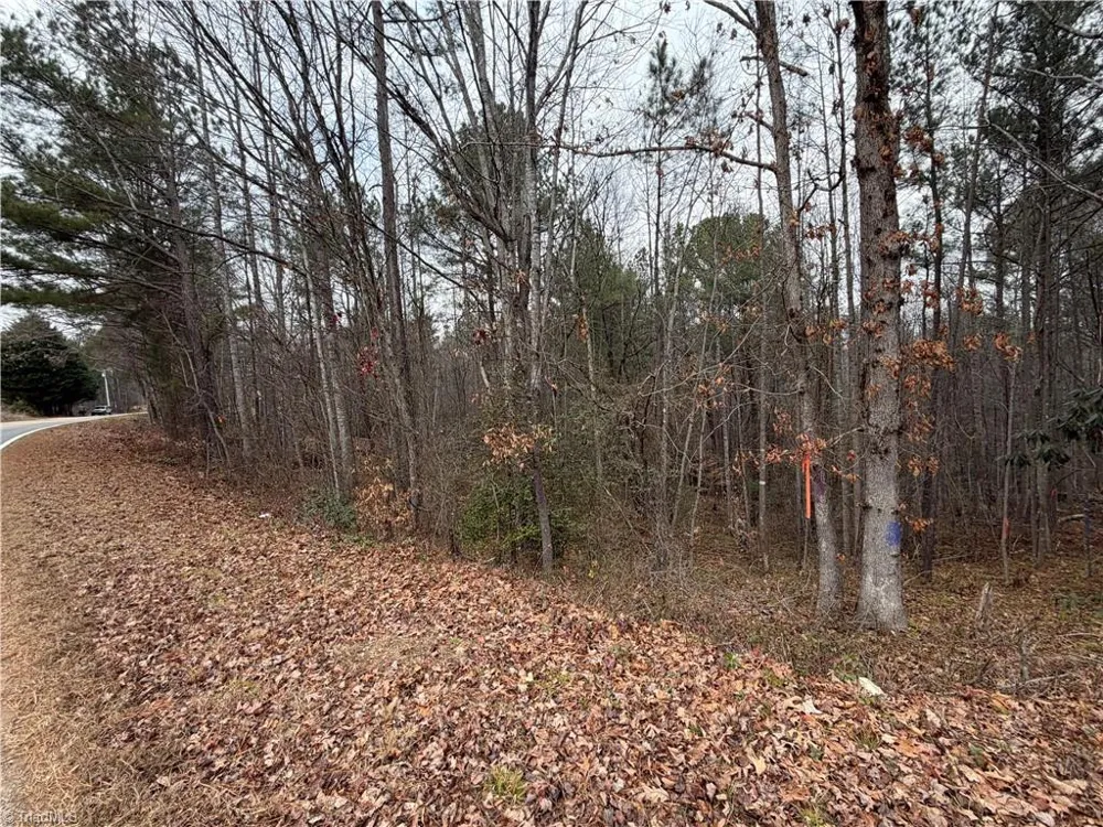 TBD Shumate Mountain Road Hays, NC 28635