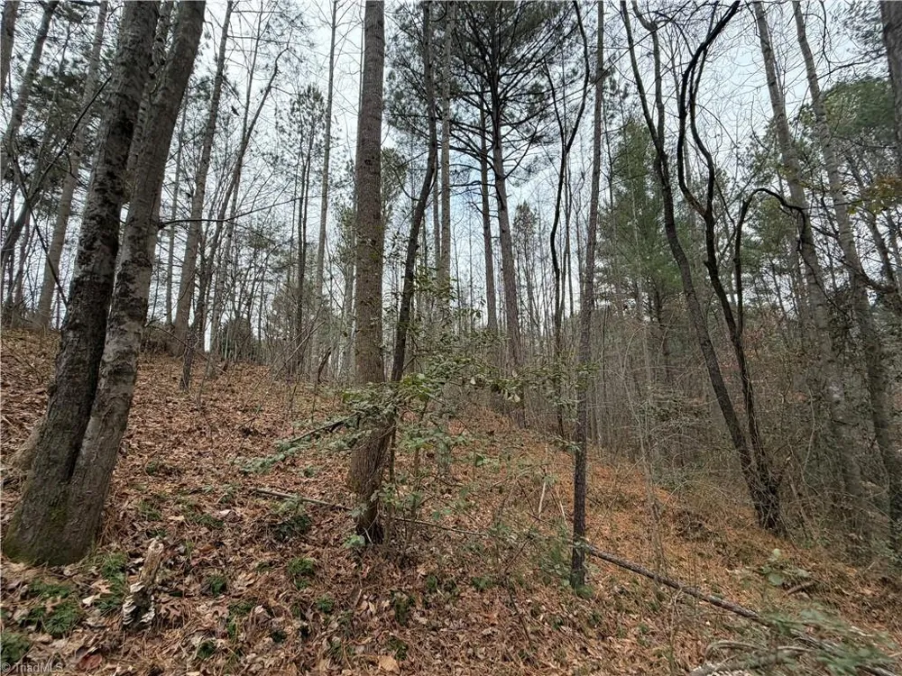 TBD Shumate Mountain Road Hays, NC 28635