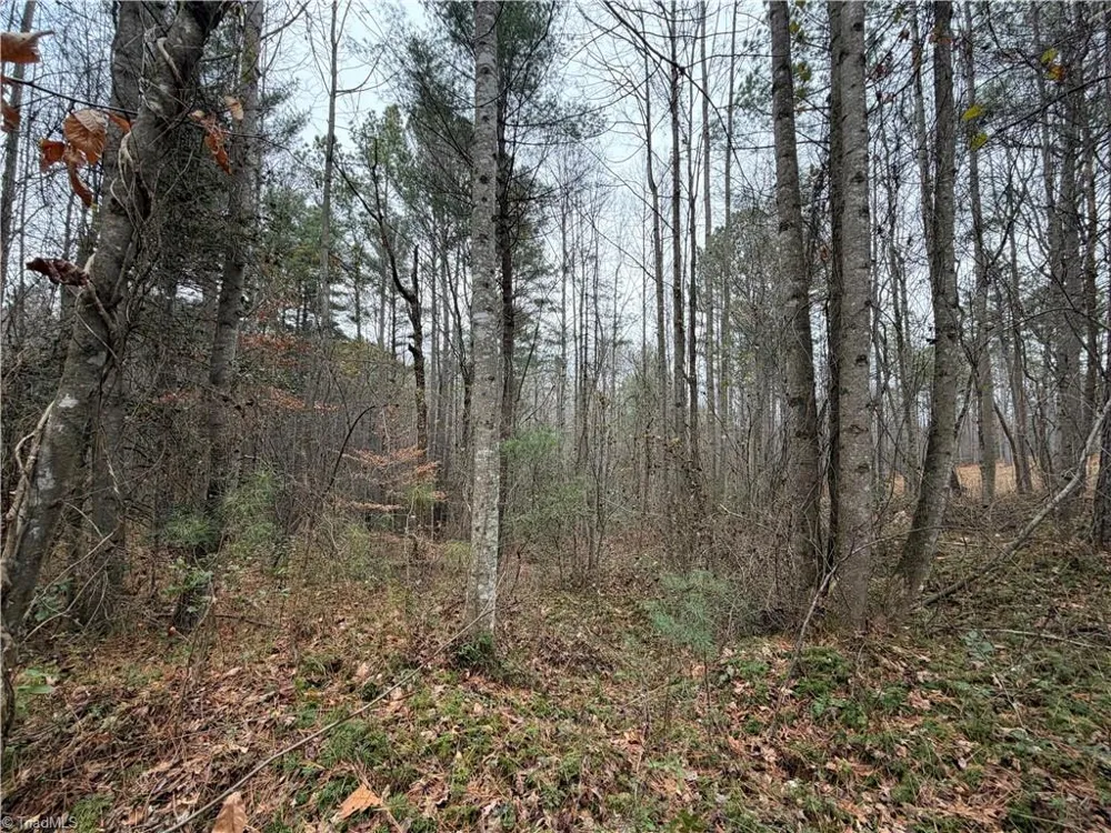 TBD Shumate Mountain Road Hays, NC 28635