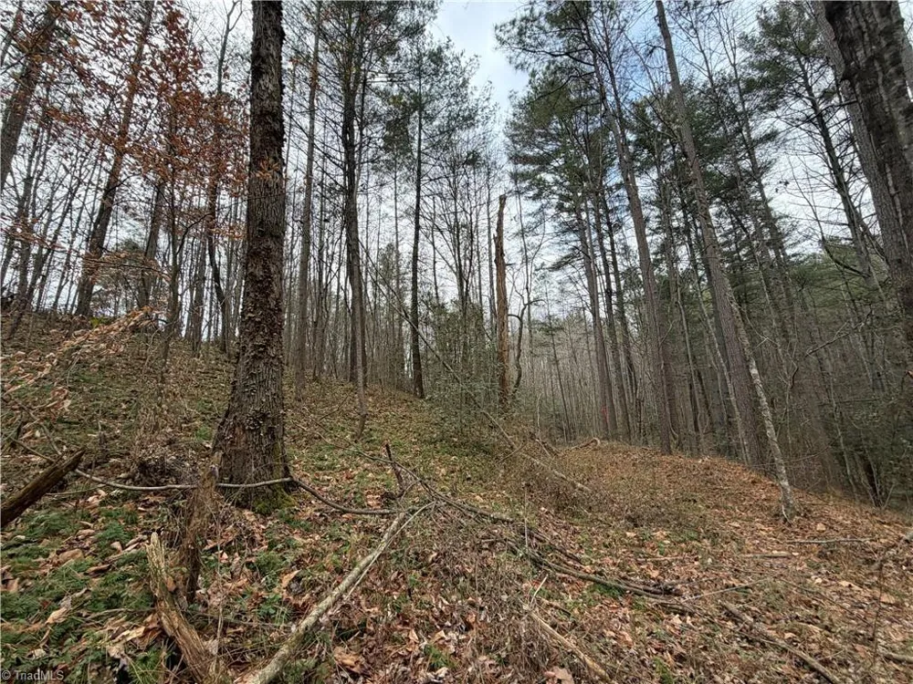 TBD Shumate Mountain Road Hays, NC 28635