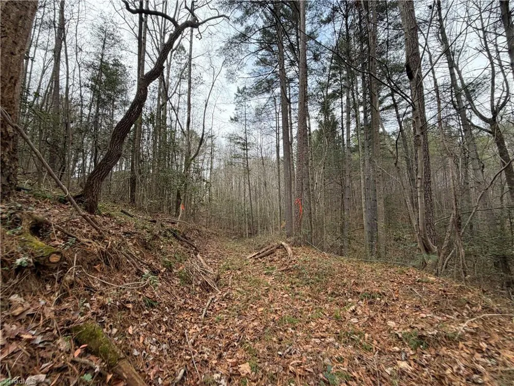 TBD Shumate Mountain Road Hays, NC 28635