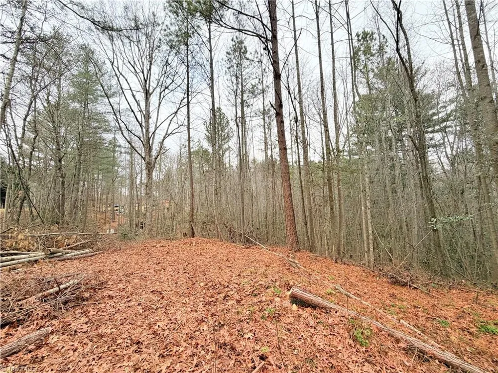 TBD Shumate Mountain Road Hays, NC 28635