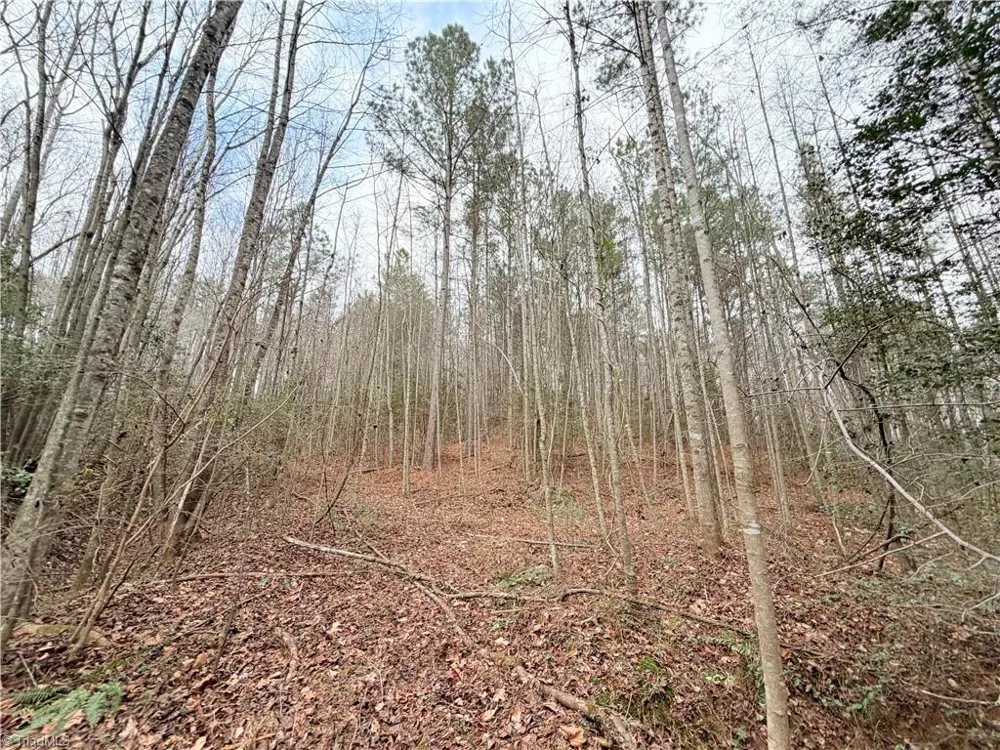 TBD Shumate Mountain Road Hays, NC 28635