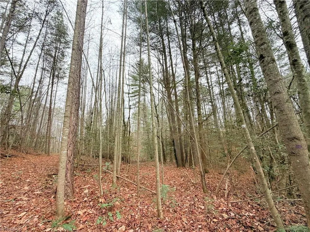 TBD Shumate Mountain Road Hays, NC 28635