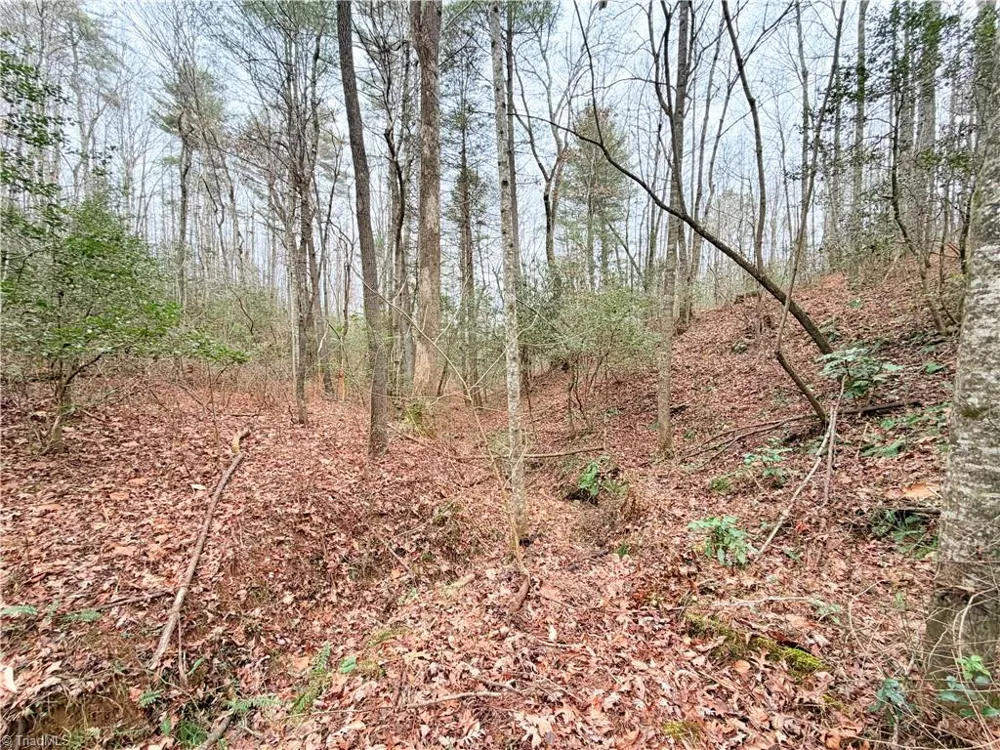 TBD Shumate Mountain Road Hays, NC 28635