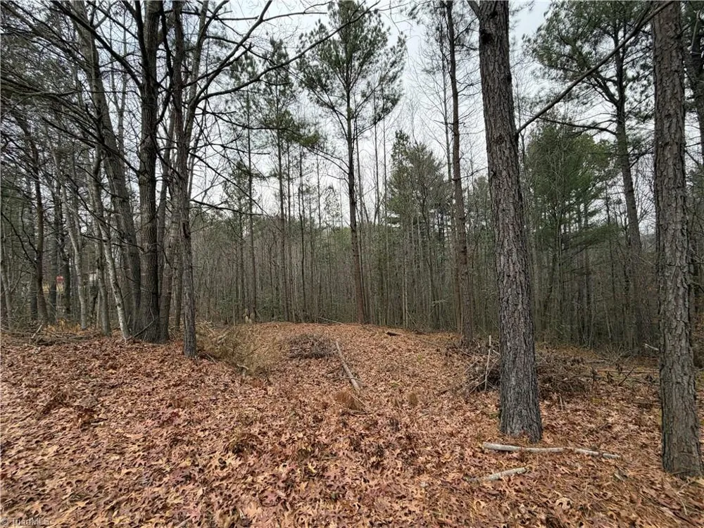 TBD Shumate Mountain Road Hays, NC 28635