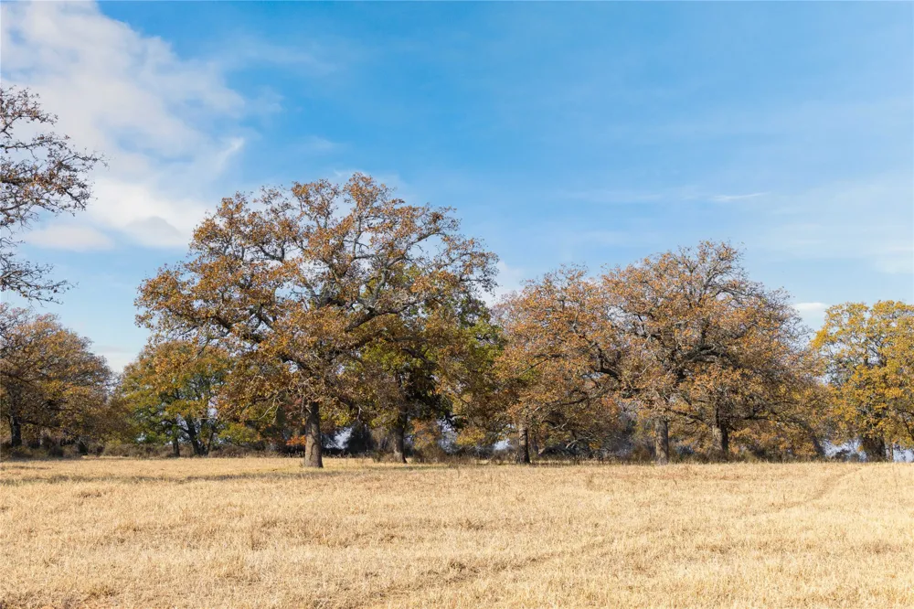 300 County Road 467 Tract 1 Gorman, TX 76454