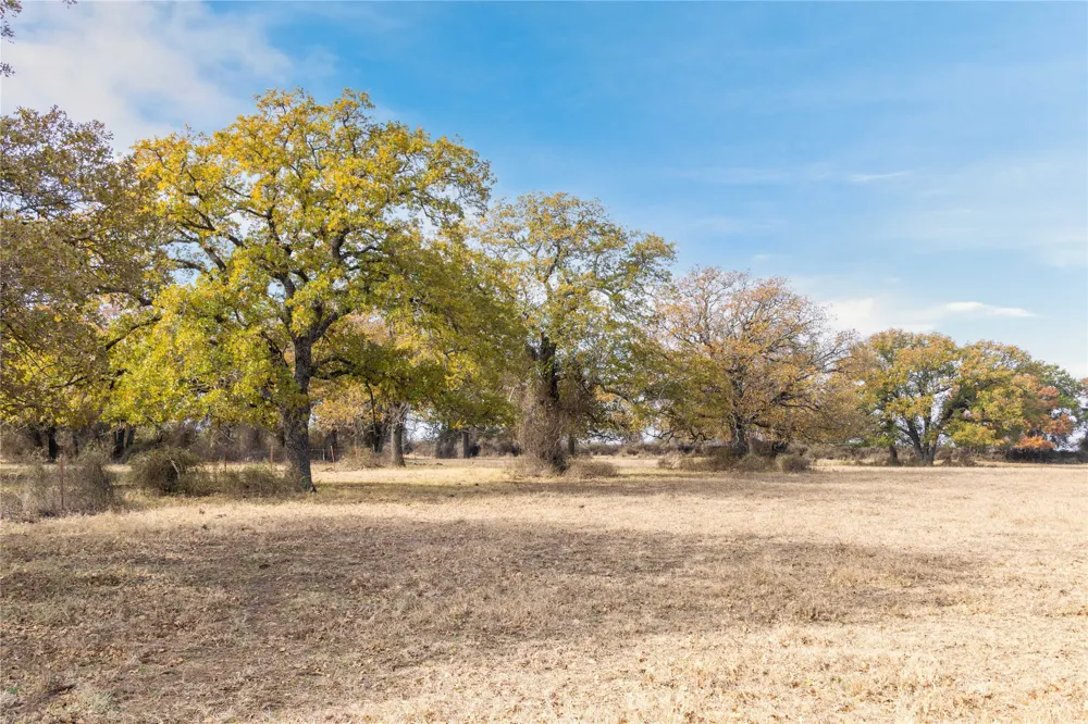 300 County Road 467 Tract 1 Gorman, TX 76454