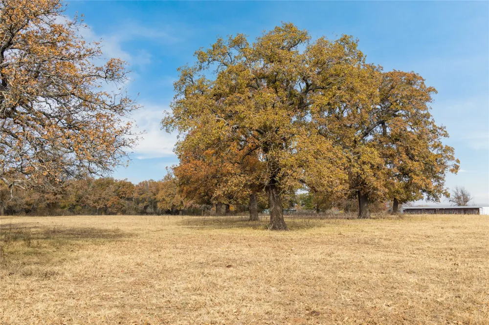 300 County Road 467 Tract 1 Gorman, TX 76454