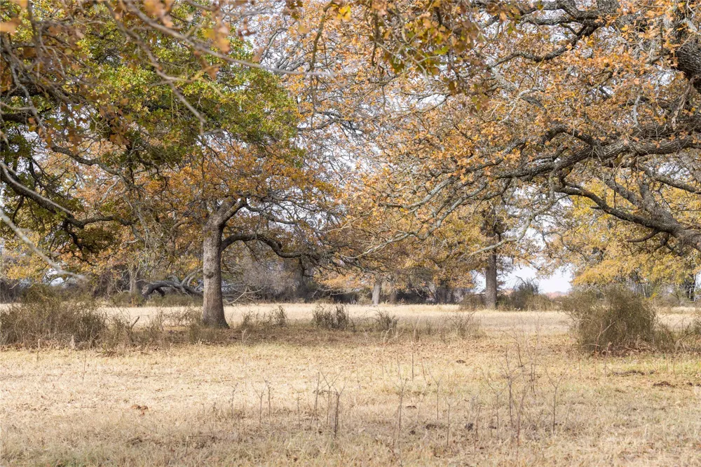 300 County Road 467 Tract 1 Gorman, TX 76454