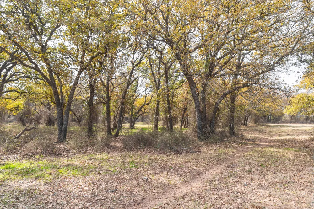 300 County Road 467 Tract 1 Gorman, TX 76454