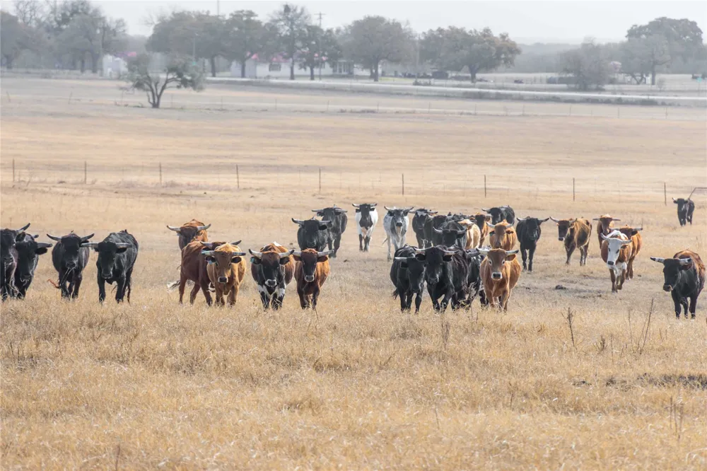 300 County Road 467 Tract 1 Gorman, TX 76454