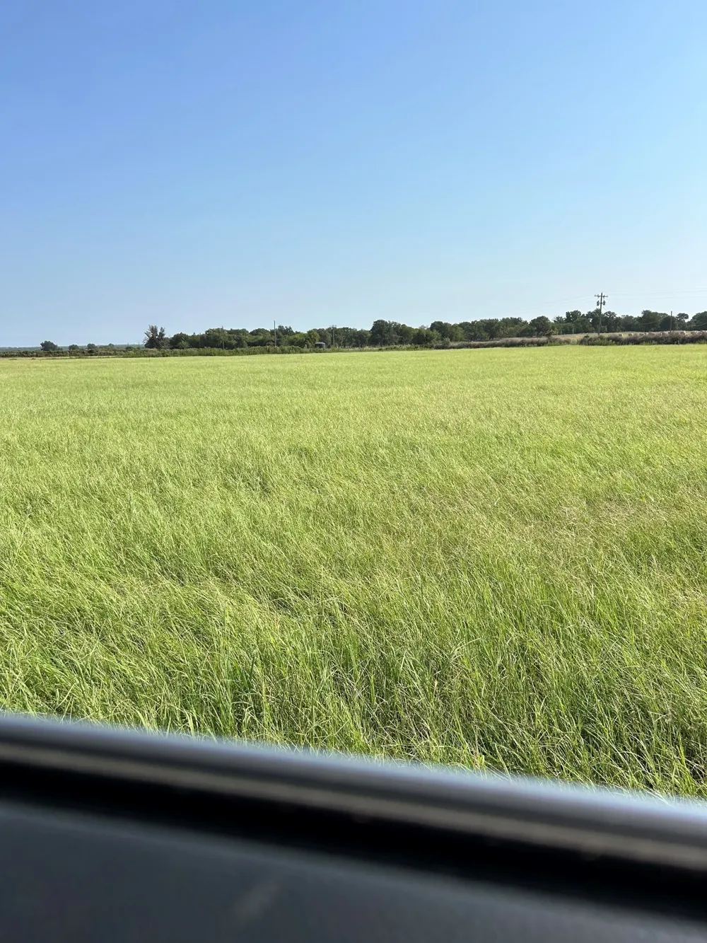 300 County Road 467 Tract 1 Gorman, TX 76454