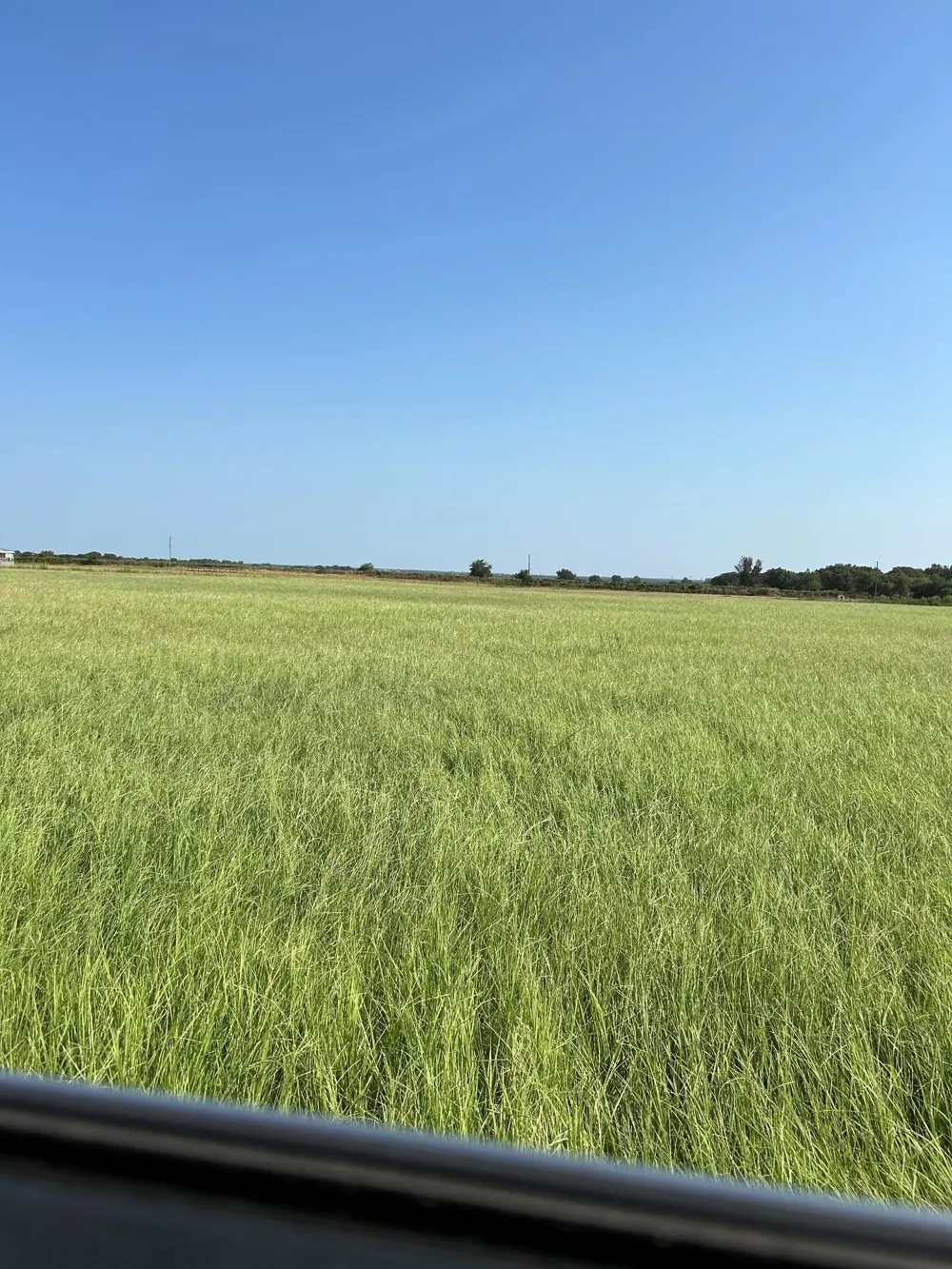 300 County Road 467 Tract 1 Gorman, TX 76454