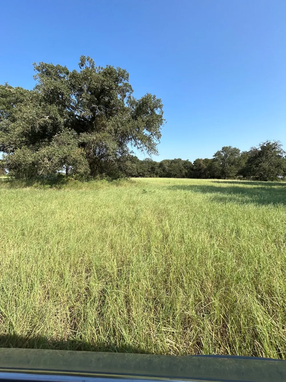300 County Road 467 Tract 1 Gorman, TX 76454