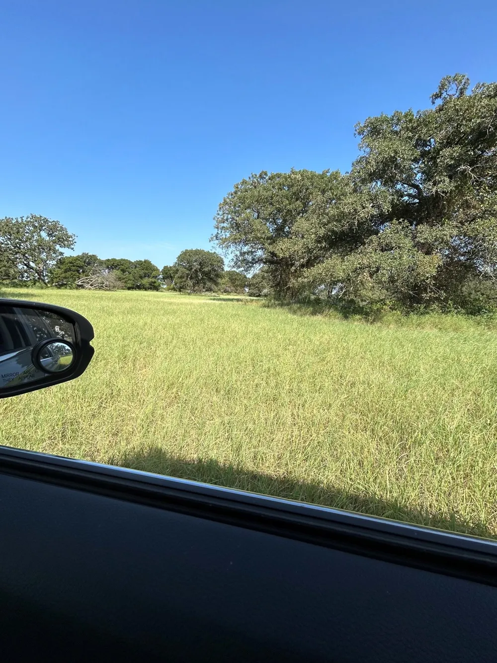 300 County Road 467 Tract 1 Gorman, TX 76454