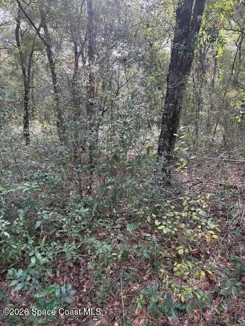 3588 E Bellshire Place Inverness, FL 34452