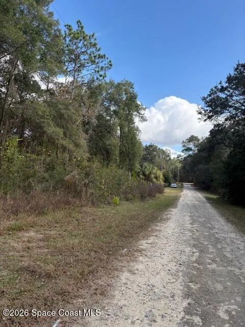3588 E Bellshire Place Inverness, FL 34452