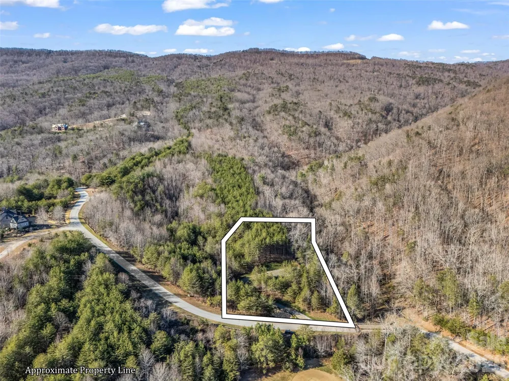 61 Deep Gap Farm Road E Mill Spring, NC 28756