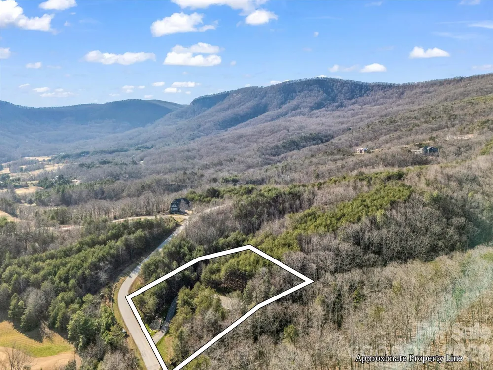 61 Deep Gap Farm Road E Mill Spring, NC 28756