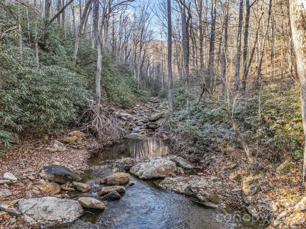 61 Deep Gap Farm Road E Mill Spring, NC 28756