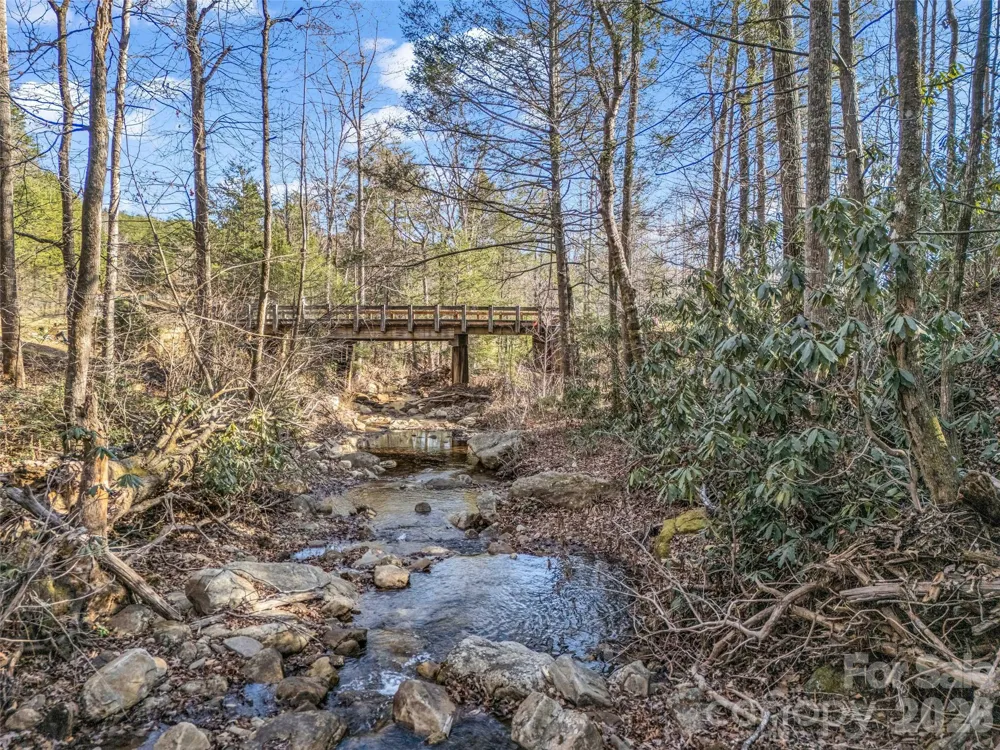 61 Deep Gap Farm Road E Mill Spring, NC 28756
