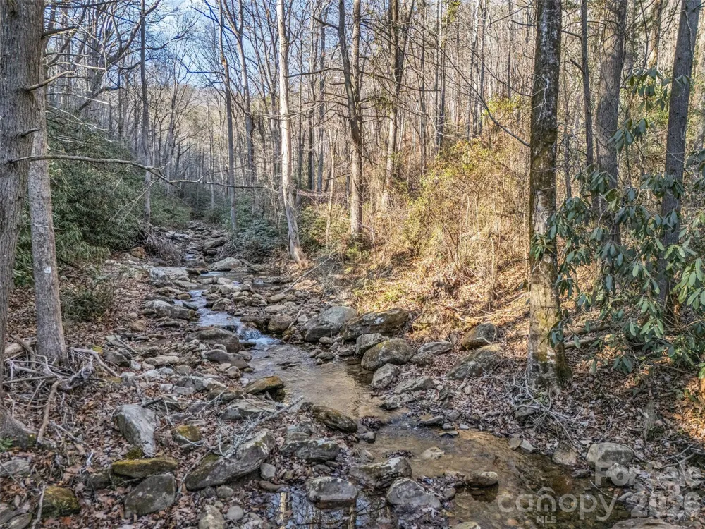 61 Deep Gap Farm Road E Mill Spring, NC 28756