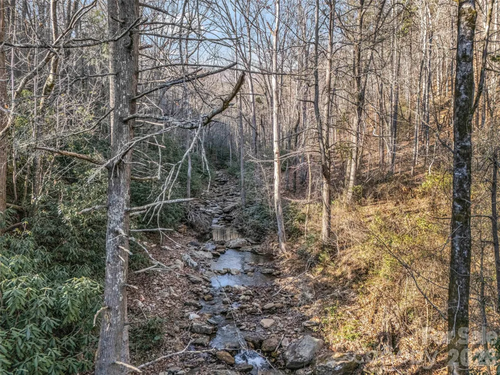 61 Deep Gap Farm Road E Mill Spring, NC 28756