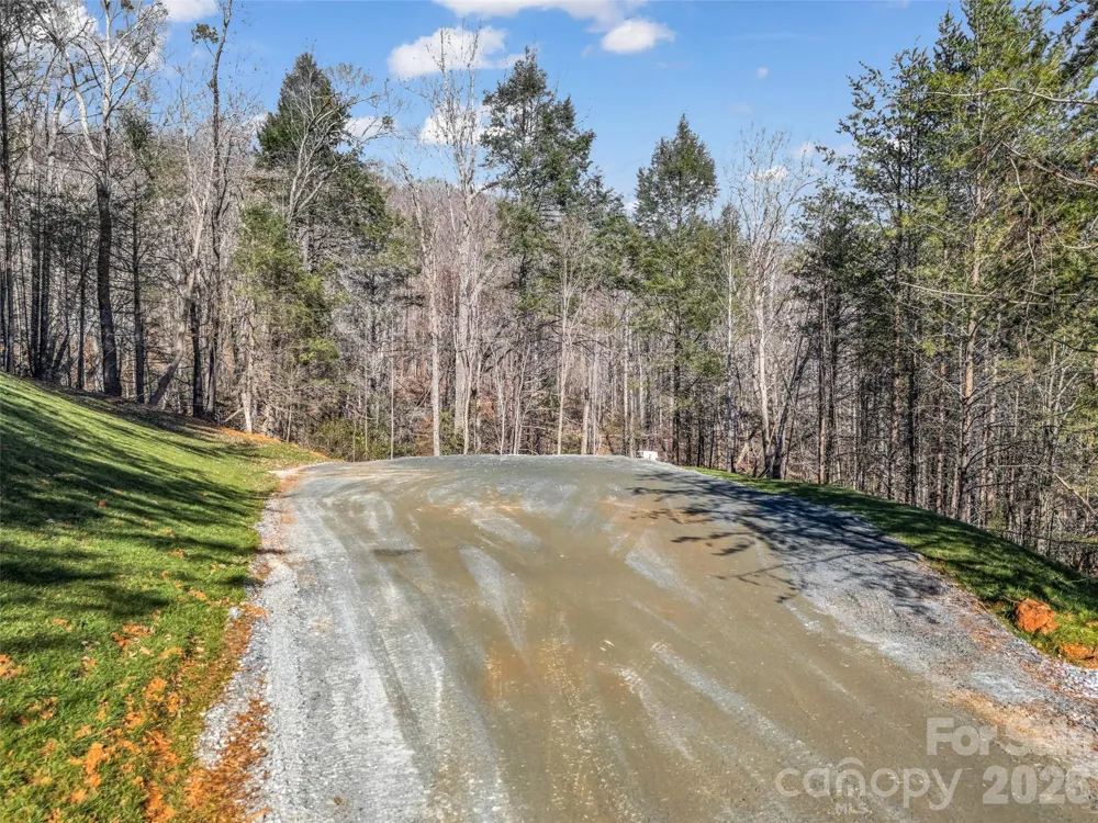 61 Deep Gap Farm Road E Mill Spring, NC 28756