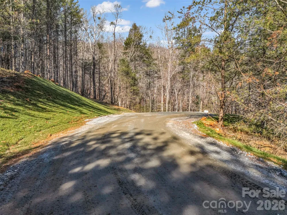 61 Deep Gap Farm Road E Mill Spring, NC 28756