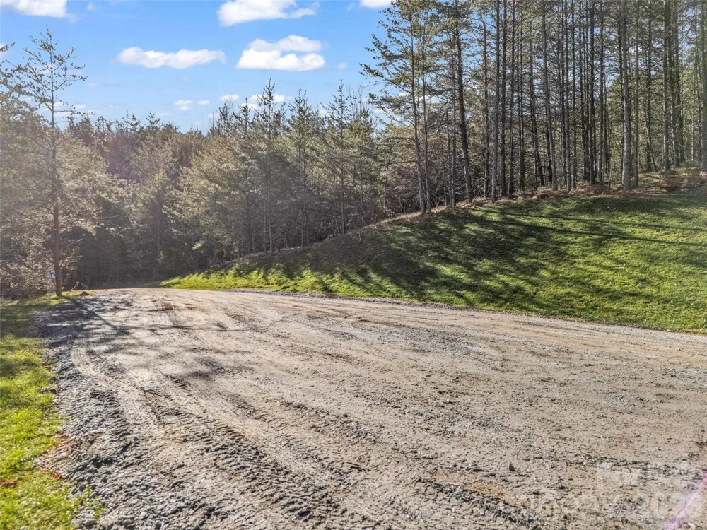 61 Deep Gap Farm Road E Mill Spring, NC 28756