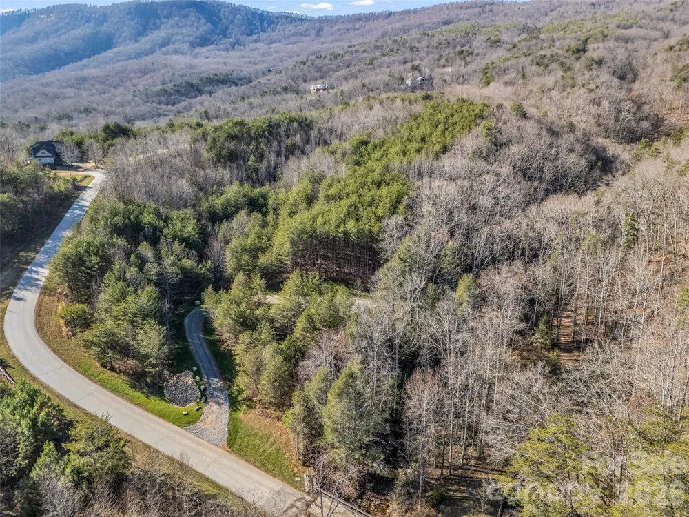 61 Deep Gap Farm Road E Mill Spring, NC 28756