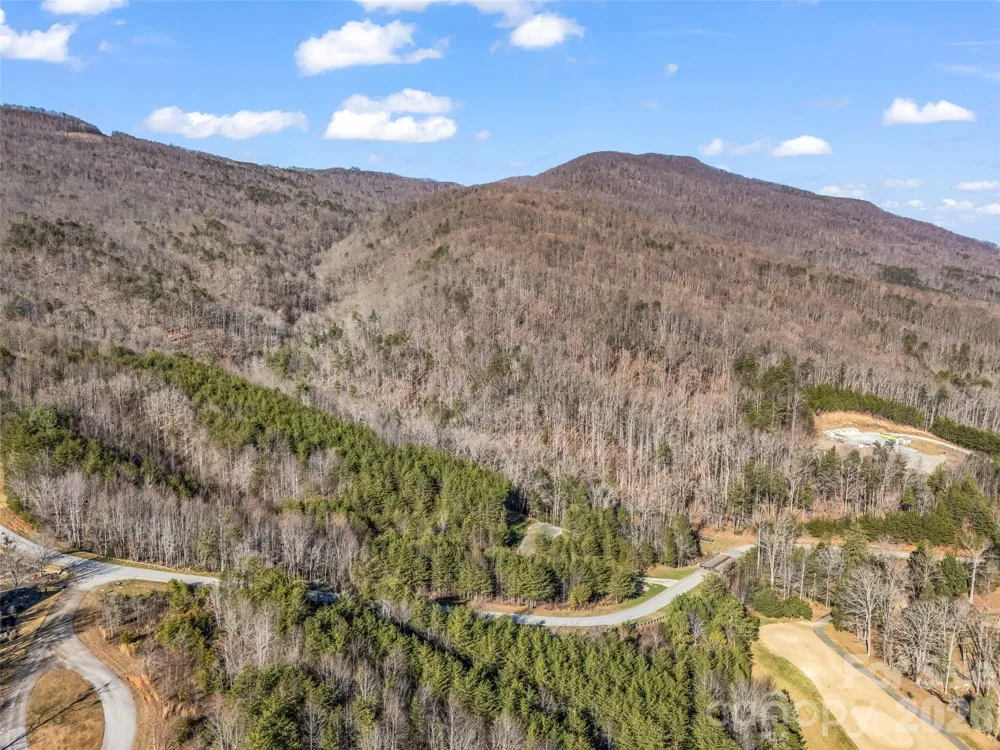 61 Deep Gap Farm Road E Mill Spring, NC 28756