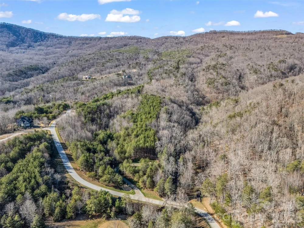 61 Deep Gap Farm Road E Mill Spring, NC 28756