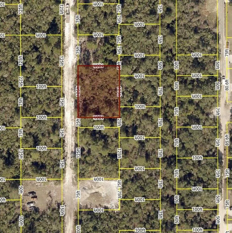 WALDOR AVENUE Orange City, FL 32763