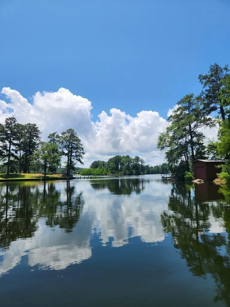 719 Hickory Hill Drive Burkeville, TX 75932