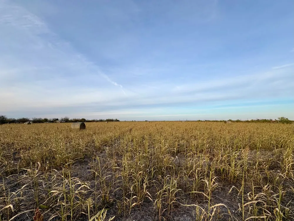 366 County Road 123 Buckholts, TX 76518