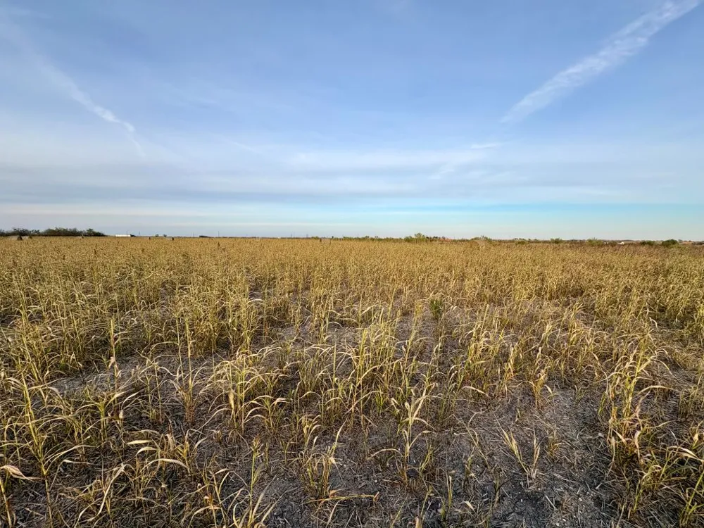 366 County Road 123 Buckholts, TX 76518